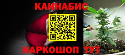 кокс Обь
