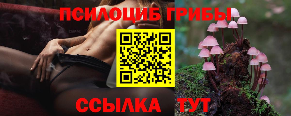 наркошоп  Галлюциногенные грибы MAGIC MUSHROOMS  Вход с VPN  Галлюциногенные грибы Magic Shrooms  Похвистнево 